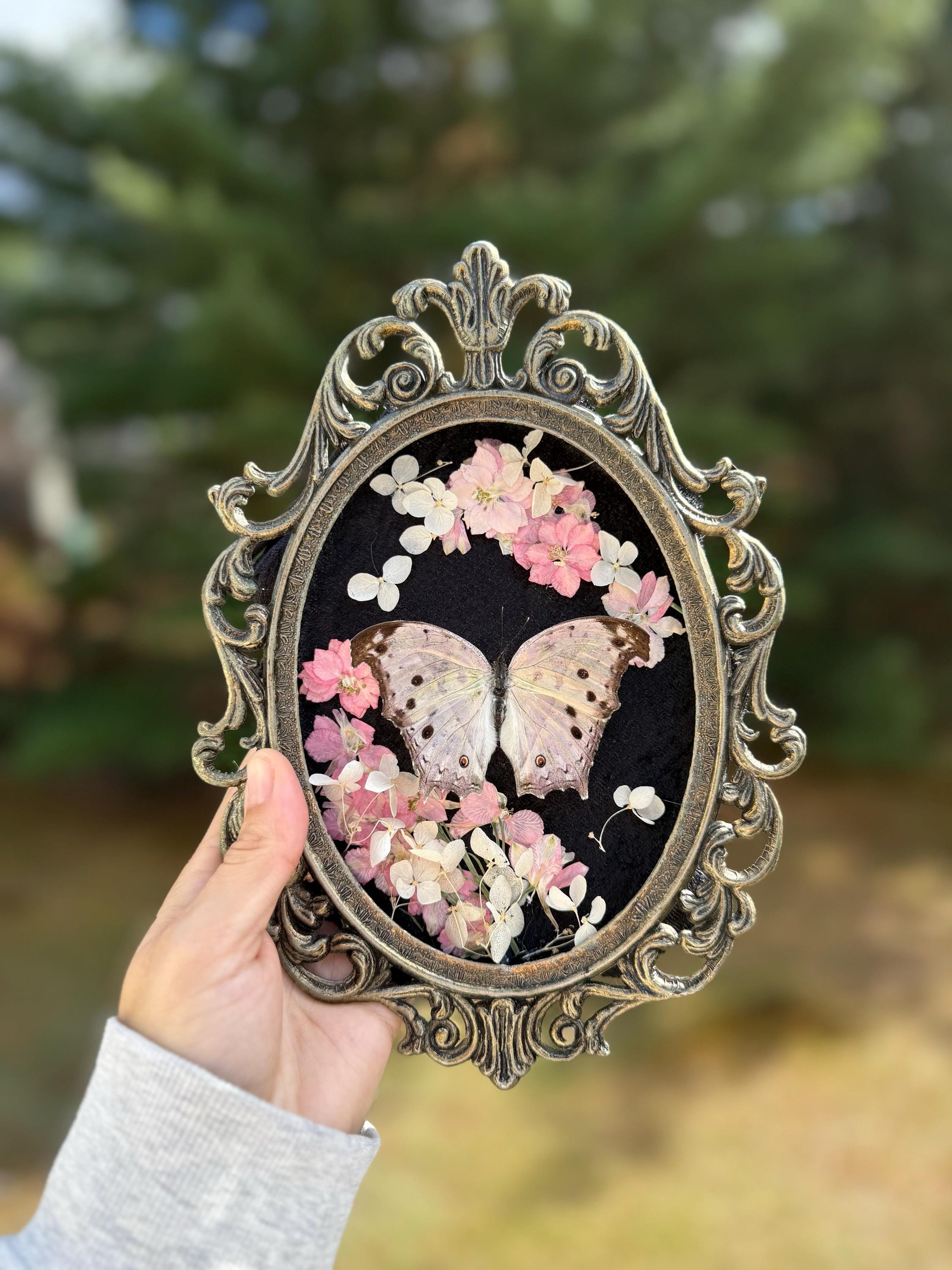 アンティーク風 蝶のフレーム Amazon.co.jp: 蝶のフォトフレーム 蝶の額縁飾り 標本展示枠 蝶々の