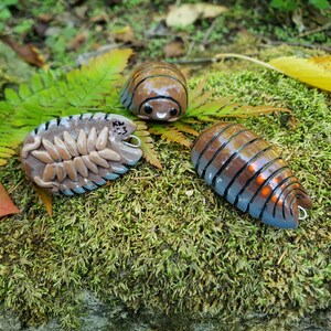 Yellow Dot Isopod P. Ornatus Isopod Ornament - Etsy