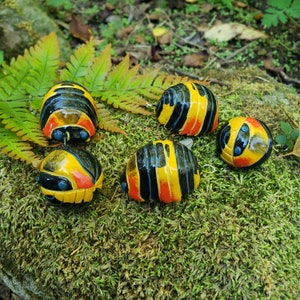 Trójkolorowy Isopod Merulanella Isopod Ornament