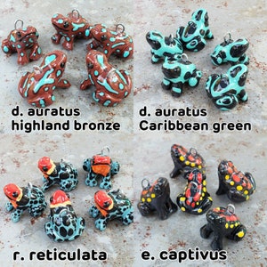 Puede incluir: Una colecci&oacute;n de diez figuritas de rana pintadas a mano con diferentes patrones de colores y dise&ntilde;os. Las ranas est&aacute;n hechas de un material similar a la cer&aacute;mica y tienen un acabado brillante. Las ranas est&aacute;n dispuestas en dos filas de cinco, con la fila superior etiquetada como "d. auratus highland bronze" y "d. auratus Caribbean green" y la fila inferior etiquetada como "r. reticulata" y "e. captivus".