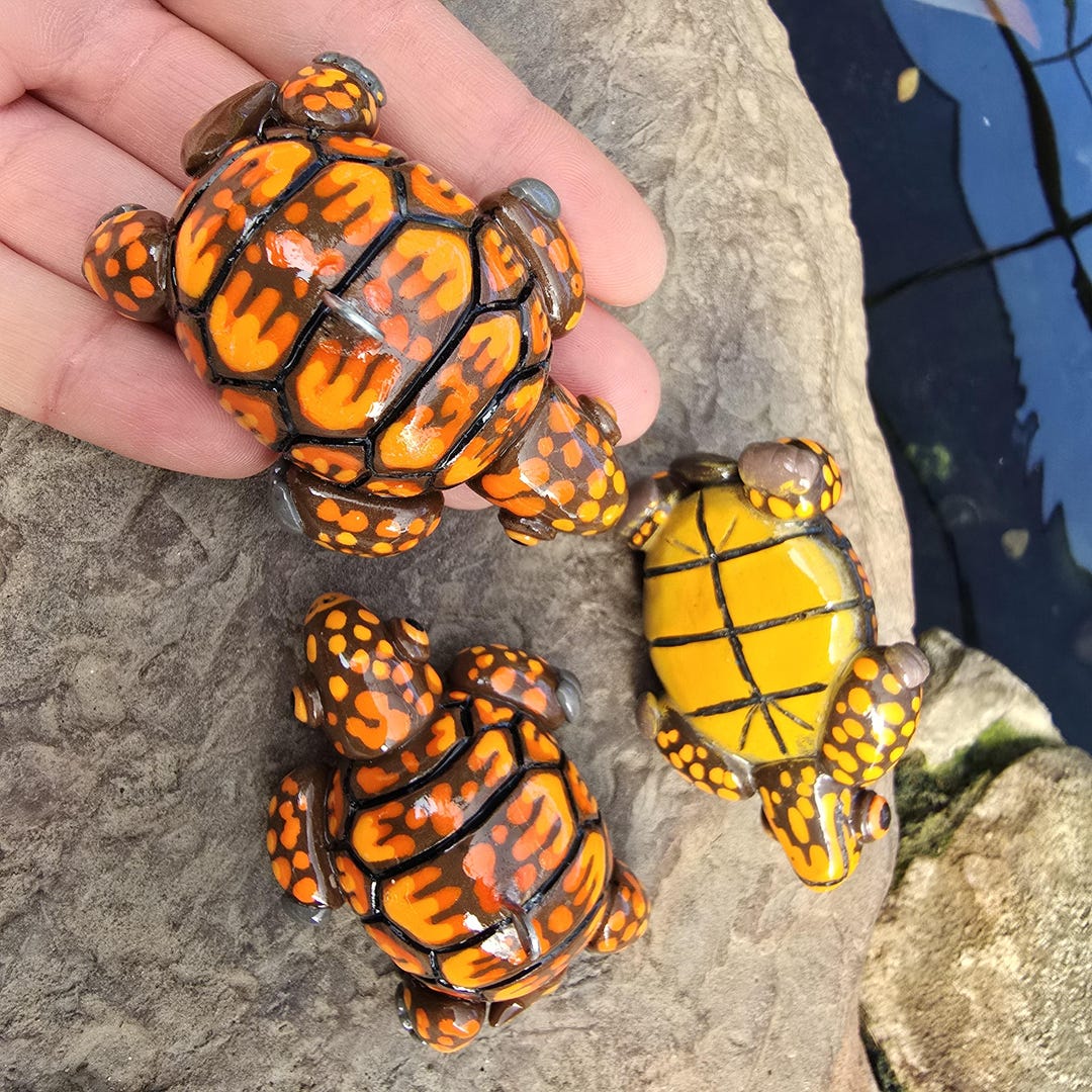Box Turtle Shell Decorations Eastern Box Turtle Christmas Ornament - Etsy