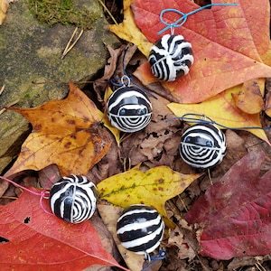 Zebra Isopod A. maculatum Isopod Ornament
