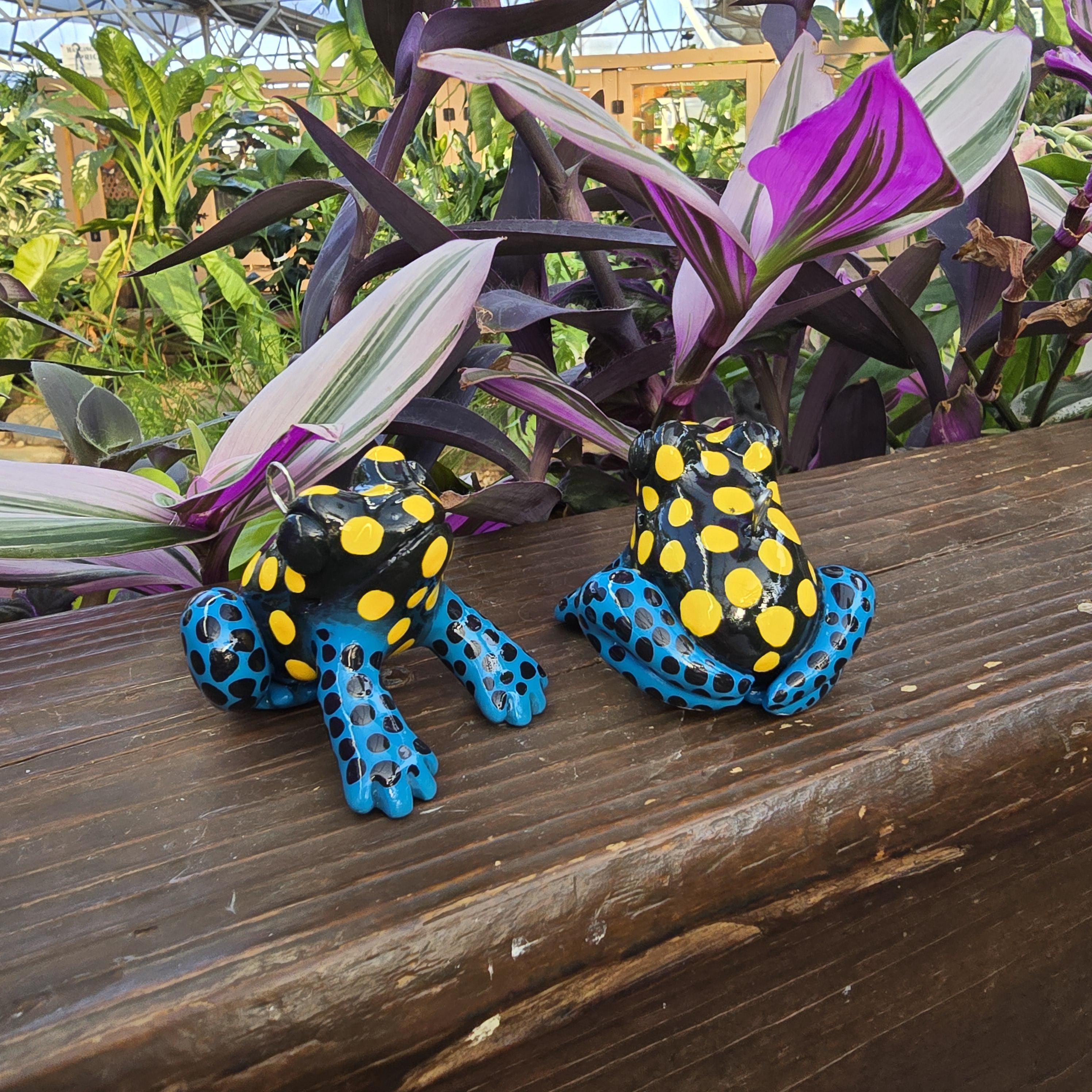 Vanzolini Poison Dart Frog - Etsy