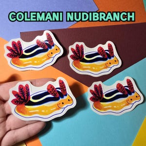 Sea Bunny Nudibranch Colemani Sea Slug Vinyl Sticker