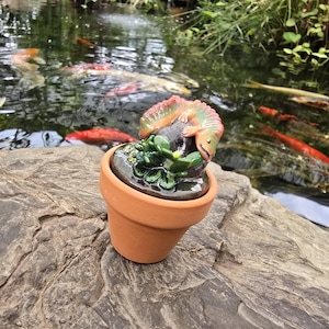May include: A small terracotta pot containing a dark, glossy stone sculpture. The sculpture features a green, textured plant base with a multi-colored, arched creature with a red, yellow, and green gradient pattern resting on top of the stone.