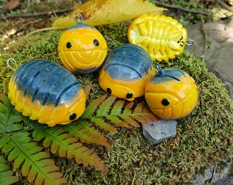 Lemon Blue Isopod Cubaris Isopod Ornament - Etsy