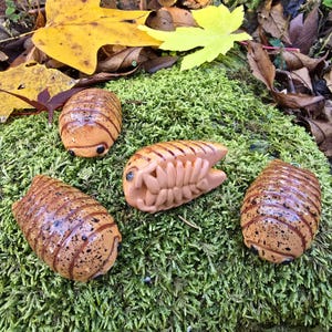 Orin&#39;s Glückspilz Isopod P. scaber Isopod Ornament
