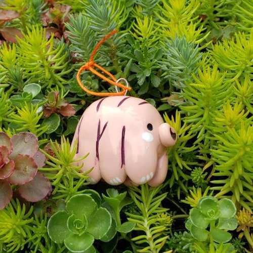 Tardigrade or Water Bear Amigurumi Crochet Pattern PDF File Etsy UK