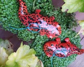 Grenouille Flèche Bleue Poison Banque De Photographies Et D’images à