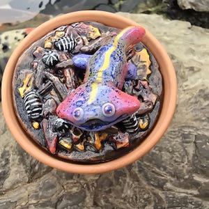 May include: A terracotta pot containing a sculpted, multi-colored salamander with a pink, blue, and yellow speckled body. The salamander rests on a textured base of dark brown debris, including small black and white striped cylindrical objects.
