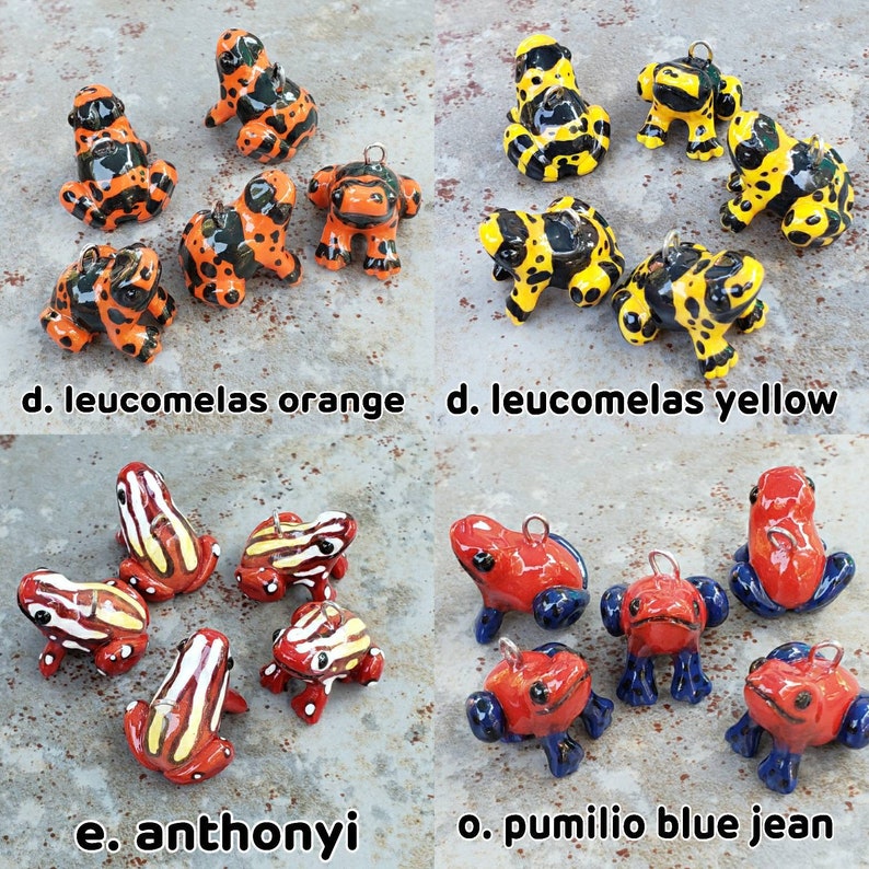 ¡Dijes de rana dardo! ¡32 especies para elegir! imagen 8