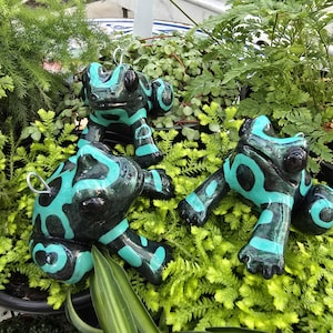 Dendrobates auratus Green and Black Dart Frog