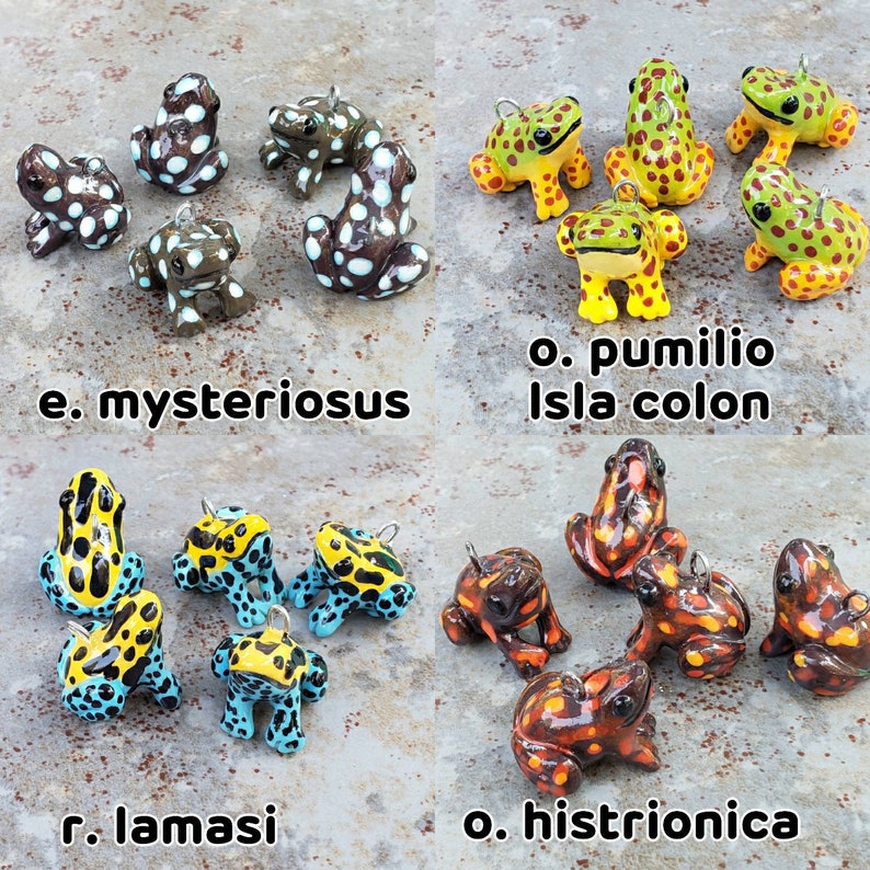 Puede incluir: Una colecci&oacute;n de 10 peque&ntilde;as figuritas de rana pintadas a mano. Las ranas est&aacute;n pintadas en varios colores, incluyendo verde, azul, amarillo, rojo y negro. Las ranas est&aacute;n dispuestas en una cuadr&iacute;cula sobre un fondo gris. El texto "e. mysteriosus", "o. pumilio Isla colon", "r. lamasi" y "o. histrionica" est&aacute; escrito debajo de las ranas.