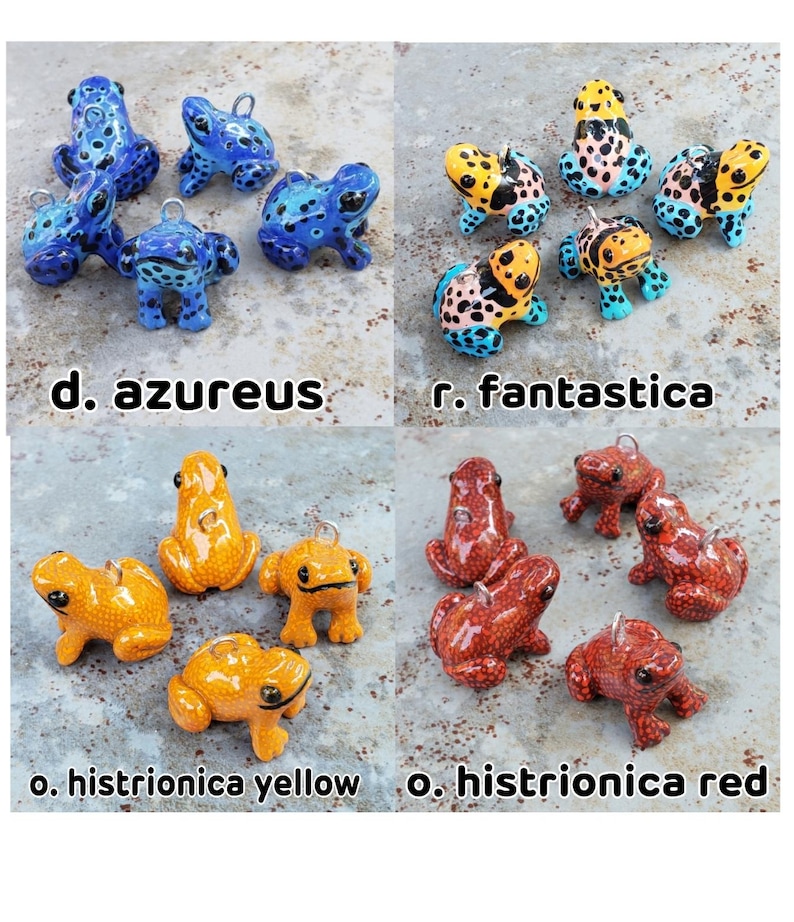 ¡Dijes de rana dardo! ¡32 especies para elegir! imagen 10