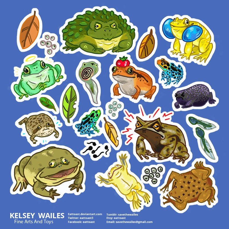 Frogs Sticker Sheet - Etsy