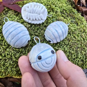 Biały Isopod Cubaris Isopod Ornament