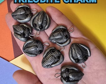 Trilobite Charm