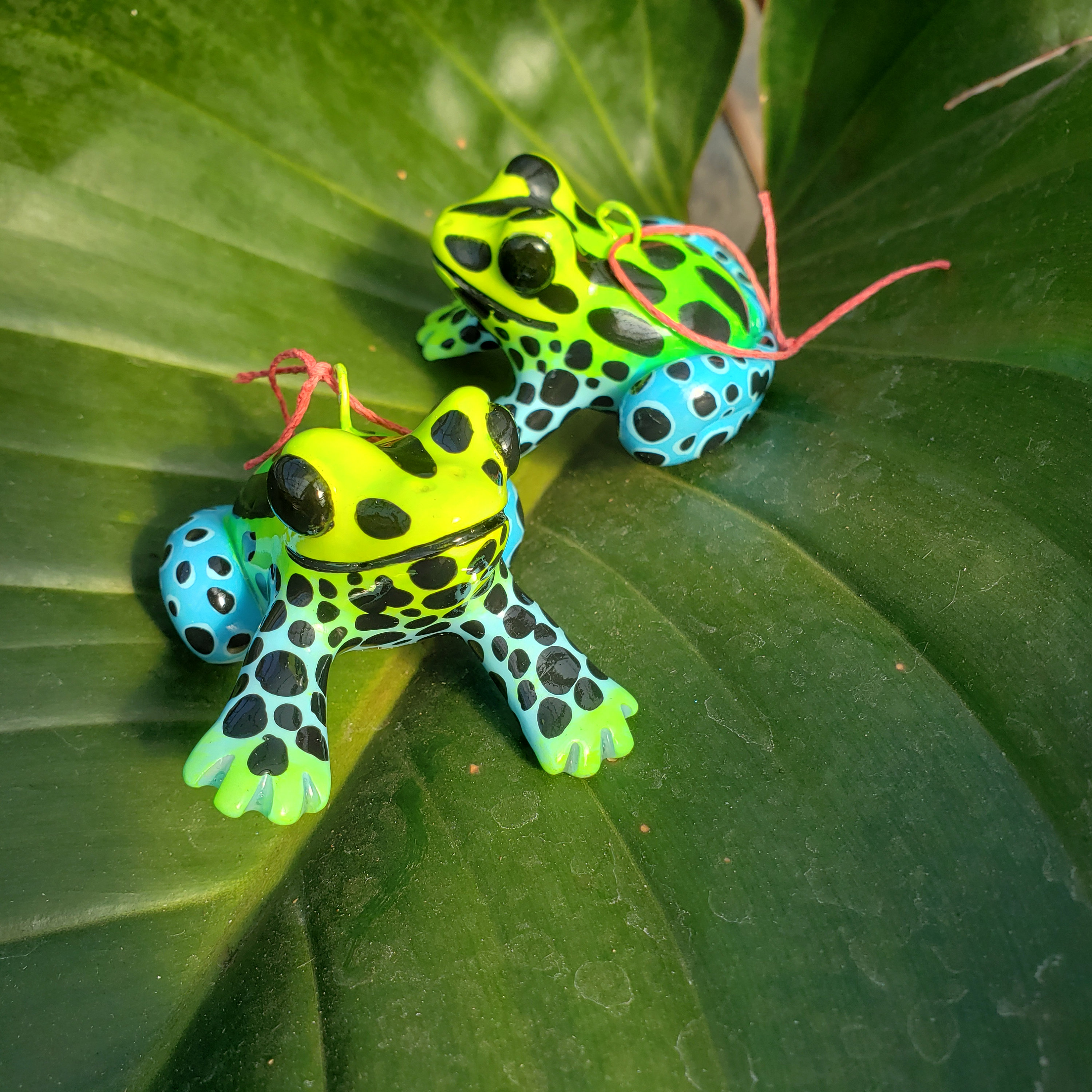 Splashback Poison Frog Ornament - Etsy