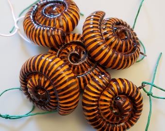 Ghana Chocolate Millipede Ornament