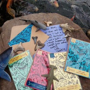 Ensembles de cartes postales et de cartes Fossil Shark Teeth