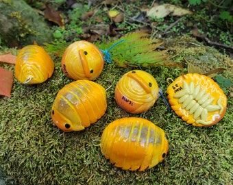 Blond Rubber Ducky Isopod Cubaris Isopod Ornament