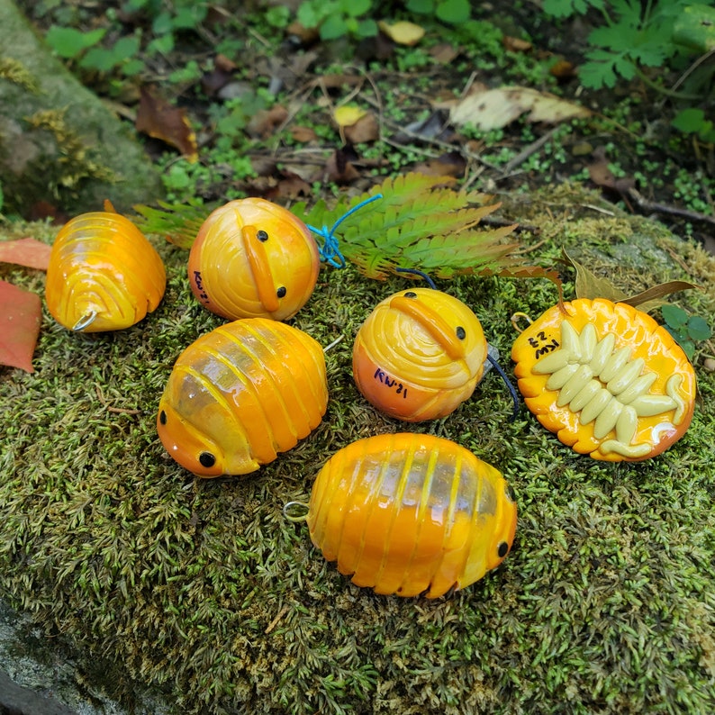 Blond Rubber Ducky Isopod Cubaris Isopod Ornament image 1