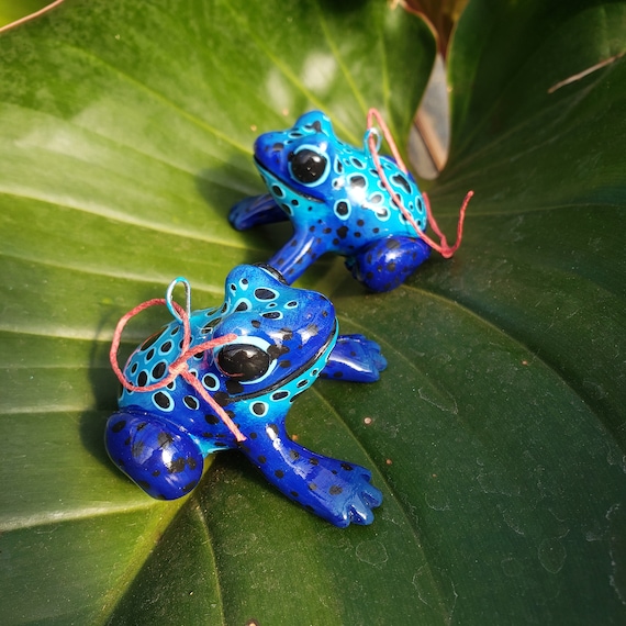 ブルーポイズンヤドクガエル - Etsy 日本