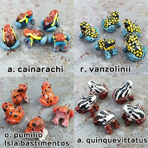 ¡Dijes de rana dardo! ¡32 especies para elegir! imagen 4