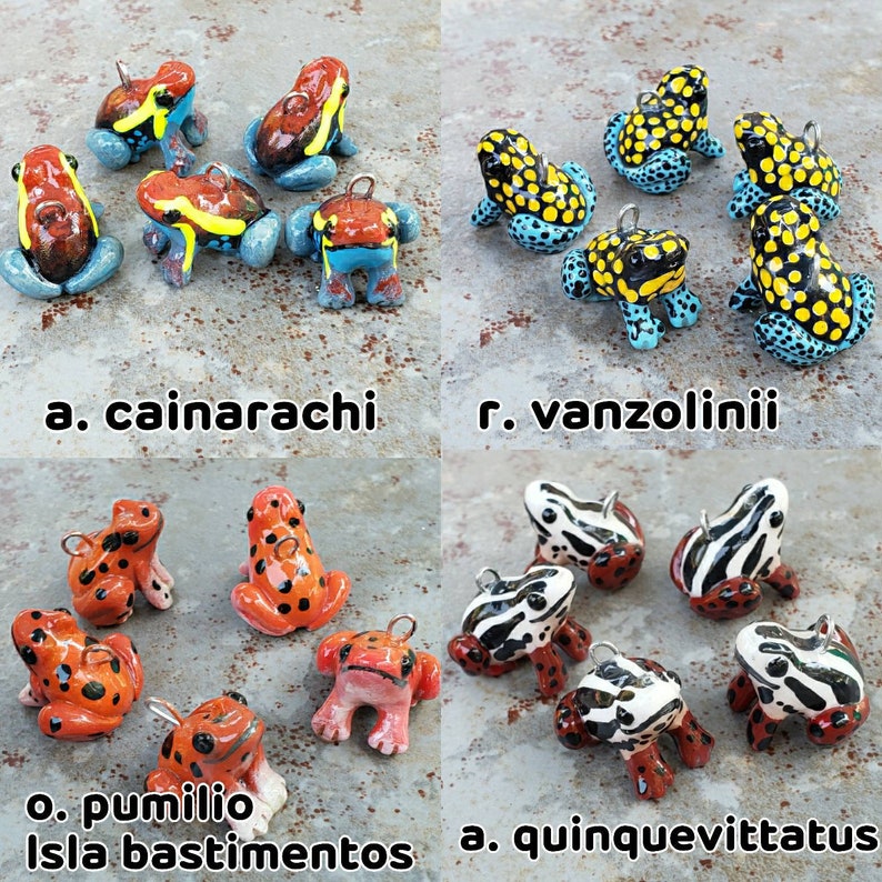 ¡Dijes de rana dardo! ¡32 especies para elegir! imagen 4