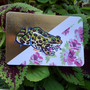 Frogust 8/27: Leopard Frog