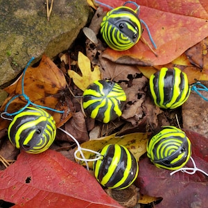Yellow Zebra Isopod A. maculatum Isopod Ornament