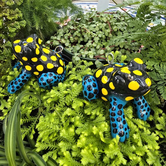 Vanzolini Poison Dart Frog - Etsy