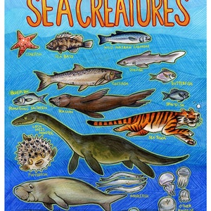 Impressão colorida de 1000 tipos diferentes de criaturas marinhas