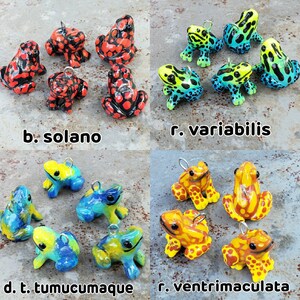 Puede incluir: Una colecci&oacute;n de 10 figuritas de rana pintadas a mano con diferentes patrones de colores y dise&ntilde;os. Las ranas llevan todas un peque&ntilde;o lazo para colgar. Las ranas est&aacute;n dispuestas en dos filas de cinco. La fila superior est&aacute; etiquetada como "b. solano" y "r. variabilis". La fila inferior est&aacute; etiquetada como "d.t. tumucumaque" y "r. ventrimaculata".