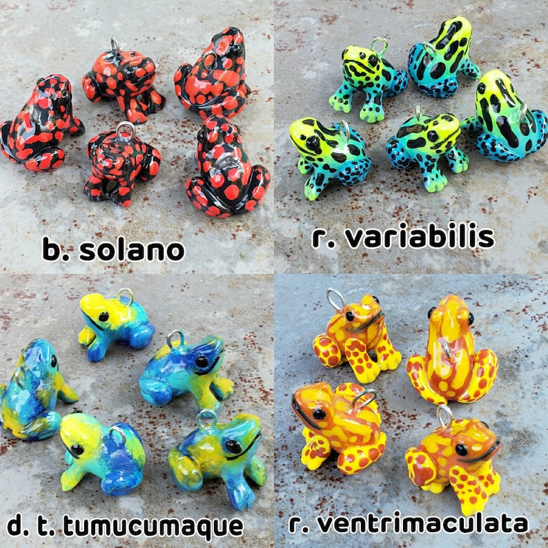 Puede incluir: Una colecci&oacute;n de 10 figuritas de rana pintadas a mano con diferentes patrones de colores y dise&ntilde;os. Las ranas llevan todas un peque&ntilde;o lazo para colgar. Las ranas est&aacute;n dispuestas en dos filas de cinco. La fila superior est&aacute; etiquetada como "b. solano" y "r. variabilis". La fila inferior est&aacute; etiquetada como "d.t. tumucumaque" y "r. ventrimaculata".