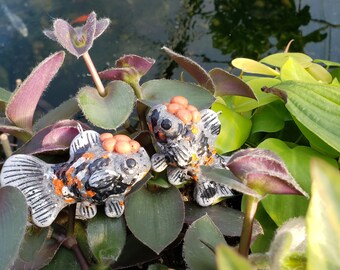 【極希少・極美品】小魚の標本　小瓶　Carassius auratus il_340x270.5552719983_hghm.jpg