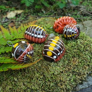 Clown Isopod A. kluggi Isopod Ornament