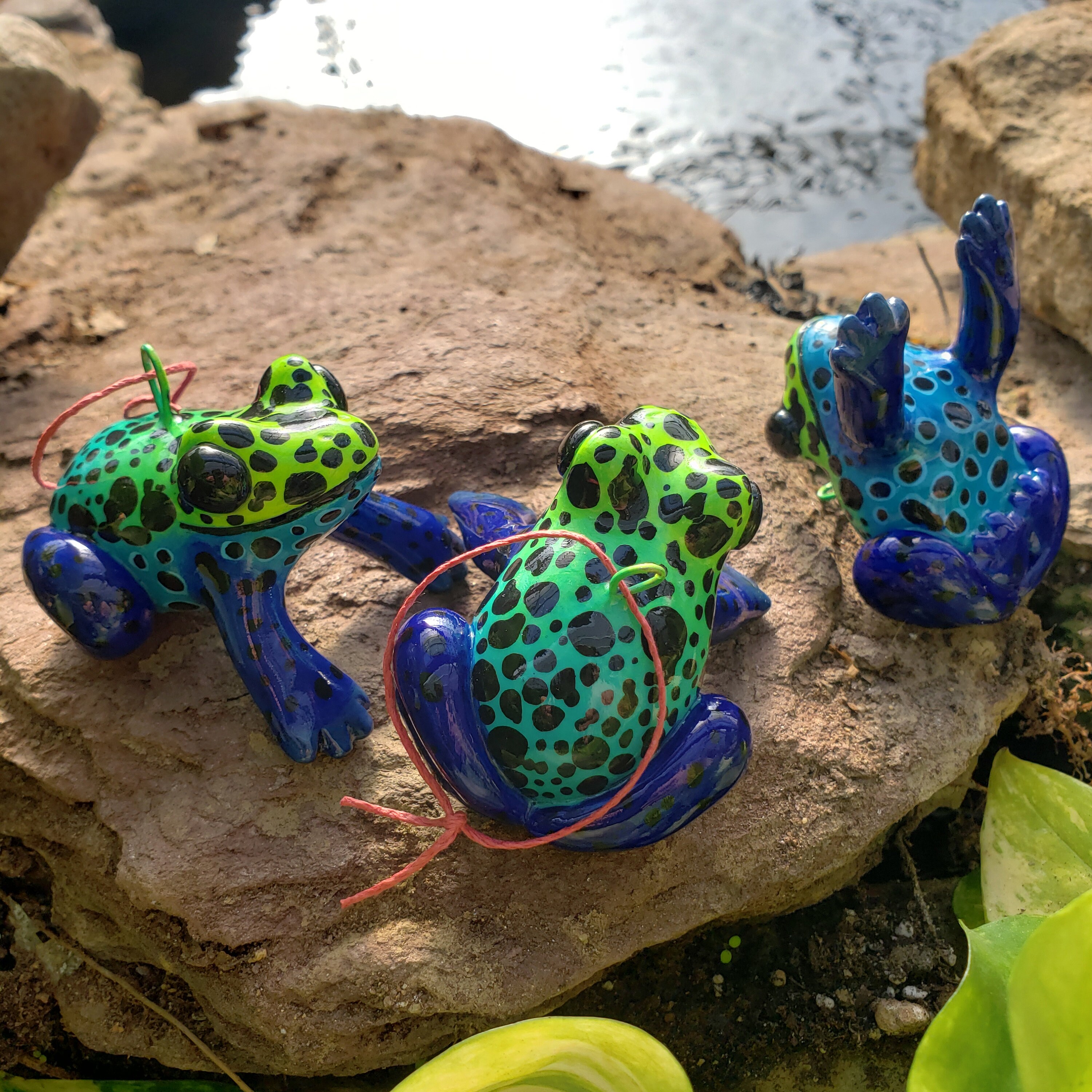 Sipaliwini Green Poison Dart Frog Ornament - Etsy