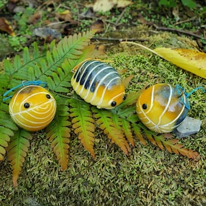 Ozdoba Jowisz Isopod Cubaris Isopod