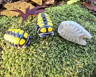Haasi High Yellow Isopod Isopod Ornament