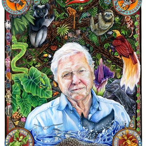 David Attenborough Posterdruck MIT ORIGINAL ILLUSTRATION