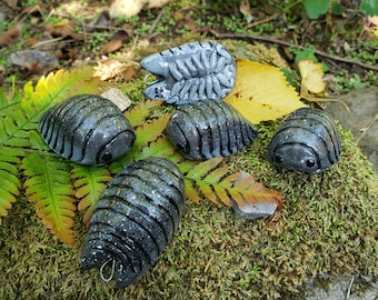 Giant Canyon-isopod P. dilatatus isopode ornament: