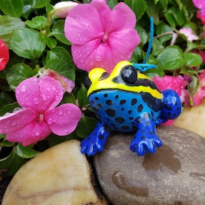 D. tinctorius Poison Dart Frog Ornament