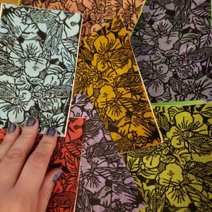 Cicadas Card Sets