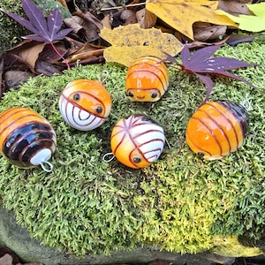 Daxin Tricolor Venezillo Isopod Cubaris Isopod Ornament