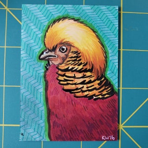 Original Sketch Card Golden Pheasant