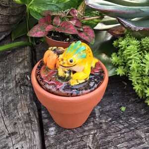 May include: A small terracotta pot with a yellow and blue frog figurine sitting on top. The frog is holding a small orange pumpkin. The pot is decorated with fall leaves and a black background.