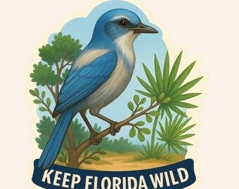 Florida Scrub-Jay Sticker – Keep Florida Wild