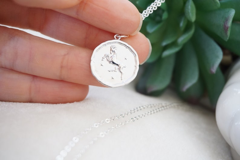 Silver zodiac coin necklace Clearance