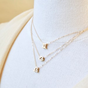 Gold Zodiac Necklace - Tiny Zodiac Necklace, Zodiac Charm Necklace, Custom Horoscope Necklace Personalize Constellation Jewelry